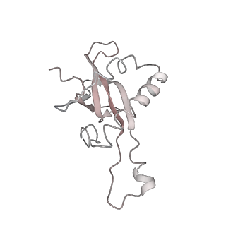 6650_5jus_EA_v1-4
Saccharomyces cerevisiae 80S ribosome bound with elongation factor eEF2-GDP-sordarin and Taura Syndrome Virus IRES, Structure III (mid-rotated 40S subunit)