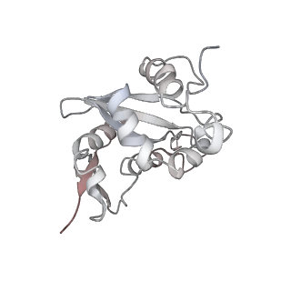 6650_5jus_EB_v1-4
Saccharomyces cerevisiae 80S ribosome bound with elongation factor eEF2-GDP-sordarin and Taura Syndrome Virus IRES, Structure III (mid-rotated 40S subunit)
