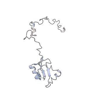 6650_5jus_FA_v1-4
Saccharomyces cerevisiae 80S ribosome bound with elongation factor eEF2-GDP-sordarin and Taura Syndrome Virus IRES, Structure III (mid-rotated 40S subunit)