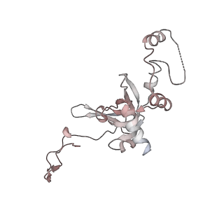 6650_5jus_FB_v1-4
Saccharomyces cerevisiae 80S ribosome bound with elongation factor eEF2-GDP-sordarin and Taura Syndrome Virus IRES, Structure III (mid-rotated 40S subunit)