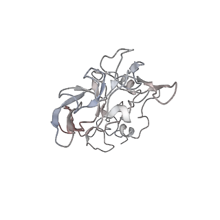 6650_5jus_F_v1-4
Saccharomyces cerevisiae 80S ribosome bound with elongation factor eEF2-GDP-sordarin and Taura Syndrome Virus IRES, Structure III (mid-rotated 40S subunit)