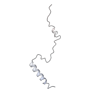 6650_5jus_GA_v1-4
Saccharomyces cerevisiae 80S ribosome bound with elongation factor eEF2-GDP-sordarin and Taura Syndrome Virus IRES, Structure III (mid-rotated 40S subunit)