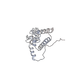 6650_5jus_GB_v1-4
Saccharomyces cerevisiae 80S ribosome bound with elongation factor eEF2-GDP-sordarin and Taura Syndrome Virus IRES, Structure III (mid-rotated 40S subunit)