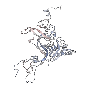 6650_5jus_G_v1-4
Saccharomyces cerevisiae 80S ribosome bound with elongation factor eEF2-GDP-sordarin and Taura Syndrome Virus IRES, Structure III (mid-rotated 40S subunit)