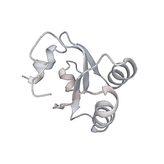 6650_5jus_HA_v1-4
Saccharomyces cerevisiae 80S ribosome bound with elongation factor eEF2-GDP-sordarin and Taura Syndrome Virus IRES, Structure III (mid-rotated 40S subunit)