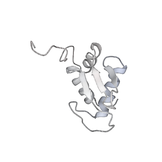 6650_5jus_HB_v1-4
Saccharomyces cerevisiae 80S ribosome bound with elongation factor eEF2-GDP-sordarin and Taura Syndrome Virus IRES, Structure III (mid-rotated 40S subunit)