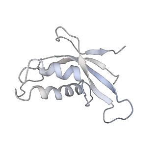 6650_5jus_IA_v1-4
Saccharomyces cerevisiae 80S ribosome bound with elongation factor eEF2-GDP-sordarin and Taura Syndrome Virus IRES, Structure III (mid-rotated 40S subunit)