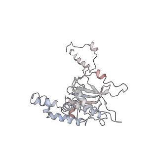 6650_5jus_I_v1-4
Saccharomyces cerevisiae 80S ribosome bound with elongation factor eEF2-GDP-sordarin and Taura Syndrome Virus IRES, Structure III (mid-rotated 40S subunit)