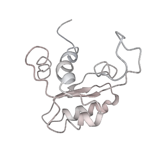 6650_5jus_JB_v1-4
Saccharomyces cerevisiae 80S ribosome bound with elongation factor eEF2-GDP-sordarin and Taura Syndrome Virus IRES, Structure III (mid-rotated 40S subunit)