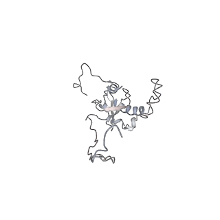 6650_5jus_J_v1-4
Saccharomyces cerevisiae 80S ribosome bound with elongation factor eEF2-GDP-sordarin and Taura Syndrome Virus IRES, Structure III (mid-rotated 40S subunit)