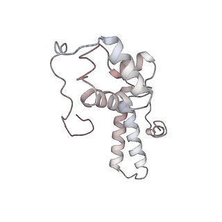 6650_5jus_KB_v1-4
Saccharomyces cerevisiae 80S ribosome bound with elongation factor eEF2-GDP-sordarin and Taura Syndrome Virus IRES, Structure III (mid-rotated 40S subunit)