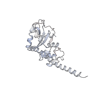 6650_5jus_K_v1-4
Saccharomyces cerevisiae 80S ribosome bound with elongation factor eEF2-GDP-sordarin and Taura Syndrome Virus IRES, Structure III (mid-rotated 40S subunit)