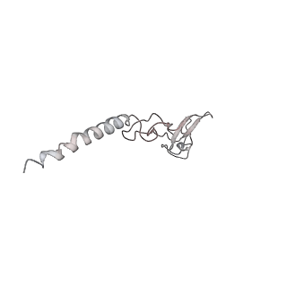 6650_5jus_LA_v1-4
Saccharomyces cerevisiae 80S ribosome bound with elongation factor eEF2-GDP-sordarin and Taura Syndrome Virus IRES, Structure III (mid-rotated 40S subunit)