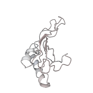 6650_5jus_LB_v1-4
Saccharomyces cerevisiae 80S ribosome bound with elongation factor eEF2-GDP-sordarin and Taura Syndrome Virus IRES, Structure III (mid-rotated 40S subunit)