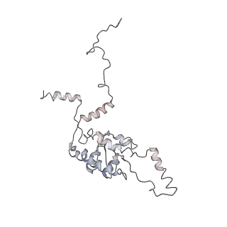 6650_5jus_L_v1-4
Saccharomyces cerevisiae 80S ribosome bound with elongation factor eEF2-GDP-sordarin and Taura Syndrome Virus IRES, Structure III (mid-rotated 40S subunit)