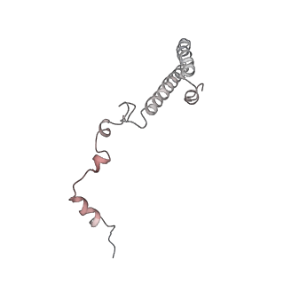 6650_5jus_MA_v1-4
Saccharomyces cerevisiae 80S ribosome bound with elongation factor eEF2-GDP-sordarin and Taura Syndrome Virus IRES, Structure III (mid-rotated 40S subunit)