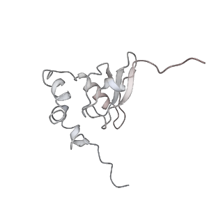 6650_5jus_MB_v1-4
Saccharomyces cerevisiae 80S ribosome bound with elongation factor eEF2-GDP-sordarin and Taura Syndrome Virus IRES, Structure III (mid-rotated 40S subunit)