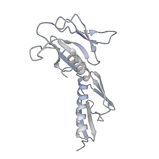 6650_5jus_M_v1-4
Saccharomyces cerevisiae 80S ribosome bound with elongation factor eEF2-GDP-sordarin and Taura Syndrome Virus IRES, Structure III (mid-rotated 40S subunit)