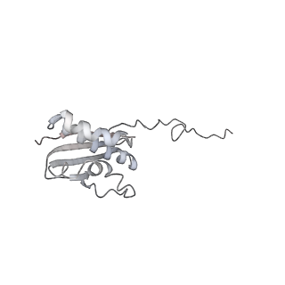 6650_5jus_NB_v1-4
Saccharomyces cerevisiae 80S ribosome bound with elongation factor eEF2-GDP-sordarin and Taura Syndrome Virus IRES, Structure III (mid-rotated 40S subunit)