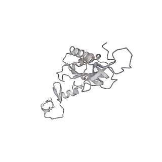 6650_5jus_N_v1-4
Saccharomyces cerevisiae 80S ribosome bound with elongation factor eEF2-GDP-sordarin and Taura Syndrome Virus IRES, Structure III (mid-rotated 40S subunit)