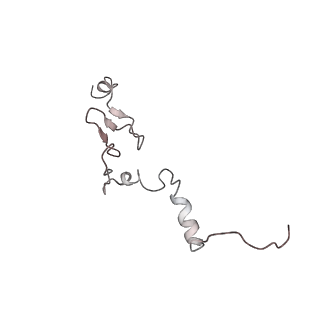 6650_5jus_OA_v1-4
Saccharomyces cerevisiae 80S ribosome bound with elongation factor eEF2-GDP-sordarin and Taura Syndrome Virus IRES, Structure III (mid-rotated 40S subunit)