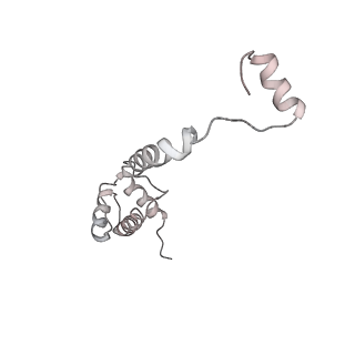 6650_5jus_OB_v1-4
Saccharomyces cerevisiae 80S ribosome bound with elongation factor eEF2-GDP-sordarin and Taura Syndrome Virus IRES, Structure III (mid-rotated 40S subunit)