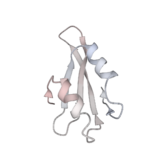 6650_5jus_PA_v1-4
Saccharomyces cerevisiae 80S ribosome bound with elongation factor eEF2-GDP-sordarin and Taura Syndrome Virus IRES, Structure III (mid-rotated 40S subunit)