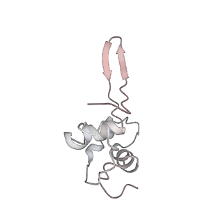 6650_5jus_P_v1-4
Saccharomyces cerevisiae 80S ribosome bound with elongation factor eEF2-GDP-sordarin and Taura Syndrome Virus IRES, Structure III (mid-rotated 40S subunit)