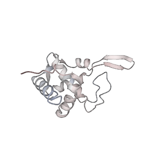 6650_5jus_QB_v1-4
Saccharomyces cerevisiae 80S ribosome bound with elongation factor eEF2-GDP-sordarin and Taura Syndrome Virus IRES, Structure III (mid-rotated 40S subunit)