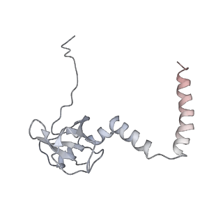 6650_5jus_R_v1-4
Saccharomyces cerevisiae 80S ribosome bound with elongation factor eEF2-GDP-sordarin and Taura Syndrome Virus IRES, Structure III (mid-rotated 40S subunit)
