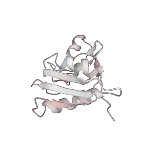 6650_5jus_TB_v1-4
Saccharomyces cerevisiae 80S ribosome bound with elongation factor eEF2-GDP-sordarin and Taura Syndrome Virus IRES, Structure III (mid-rotated 40S subunit)