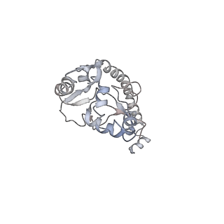 6650_5jus_T_v1-4
Saccharomyces cerevisiae 80S ribosome bound with elongation factor eEF2-GDP-sordarin and Taura Syndrome Virus IRES, Structure III (mid-rotated 40S subunit)