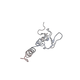 6650_5jus_UA_v1-4
Saccharomyces cerevisiae 80S ribosome bound with elongation factor eEF2-GDP-sordarin and Taura Syndrome Virus IRES, Structure III (mid-rotated 40S subunit)
