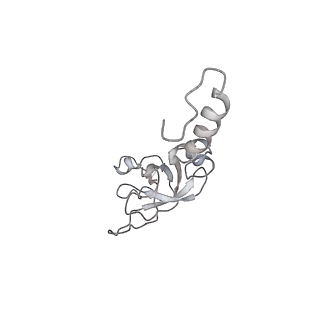 6650_5jus_UB_v1-4
Saccharomyces cerevisiae 80S ribosome bound with elongation factor eEF2-GDP-sordarin and Taura Syndrome Virus IRES, Structure III (mid-rotated 40S subunit)