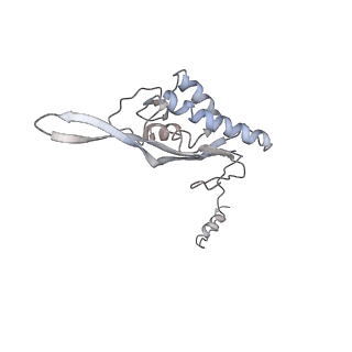6650_5jus_U_v1-4
Saccharomyces cerevisiae 80S ribosome bound with elongation factor eEF2-GDP-sordarin and Taura Syndrome Virus IRES, Structure III (mid-rotated 40S subunit)