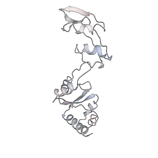 6650_5jus_VA_v1-4
Saccharomyces cerevisiae 80S ribosome bound with elongation factor eEF2-GDP-sordarin and Taura Syndrome Virus IRES, Structure III (mid-rotated 40S subunit)