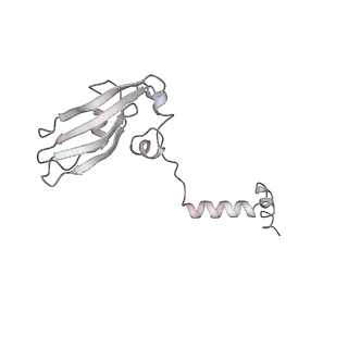 6650_5jus_VB_v1-4
Saccharomyces cerevisiae 80S ribosome bound with elongation factor eEF2-GDP-sordarin and Taura Syndrome Virus IRES, Structure III (mid-rotated 40S subunit)