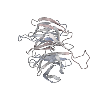 6650_5jus_WA_v1-4
Saccharomyces cerevisiae 80S ribosome bound with elongation factor eEF2-GDP-sordarin and Taura Syndrome Virus IRES, Structure III (mid-rotated 40S subunit)