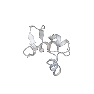 6650_5jus_WB_v1-4
Saccharomyces cerevisiae 80S ribosome bound with elongation factor eEF2-GDP-sordarin and Taura Syndrome Virus IRES, Structure III (mid-rotated 40S subunit)