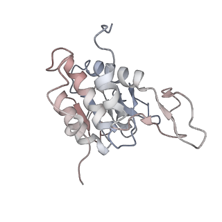 6650_5jus_XA_v1-4
Saccharomyces cerevisiae 80S ribosome bound with elongation factor eEF2-GDP-sordarin and Taura Syndrome Virus IRES, Structure III (mid-rotated 40S subunit)