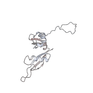 6650_5jus_X_v1-4
Saccharomyces cerevisiae 80S ribosome bound with elongation factor eEF2-GDP-sordarin and Taura Syndrome Virus IRES, Structure III (mid-rotated 40S subunit)