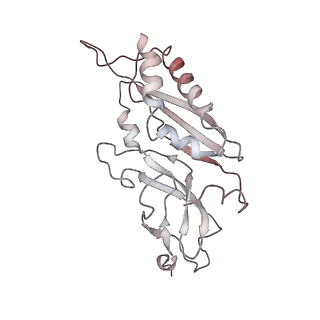 6650_5jus_YA_v1-4
Saccharomyces cerevisiae 80S ribosome bound with elongation factor eEF2-GDP-sordarin and Taura Syndrome Virus IRES, Structure III (mid-rotated 40S subunit)