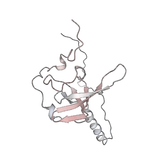 6650_5jus_Y_v1-4
Saccharomyces cerevisiae 80S ribosome bound with elongation factor eEF2-GDP-sordarin and Taura Syndrome Virus IRES, Structure III (mid-rotated 40S subunit)