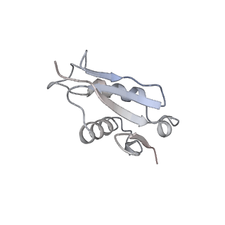 6650_5jus_Z_v1-4
Saccharomyces cerevisiae 80S ribosome bound with elongation factor eEF2-GDP-sordarin and Taura Syndrome Virus IRES, Structure III (mid-rotated 40S subunit)