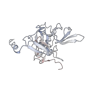 6652_5jut_BB_v1-3
Saccharomyces cerevisiae 80S ribosome bound with elongation factor eEF2-GDP-sordarin and Taura Syndrome Virus IRES, Structure IV (almost non-rotated 40S subunit)