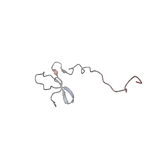 6652_5jut_CC_v1-3
Saccharomyces cerevisiae 80S ribosome bound with elongation factor eEF2-GDP-sordarin and Taura Syndrome Virus IRES, Structure IV (almost non-rotated 40S subunit)