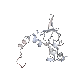 6652_5jut_DA_v1-3
Saccharomyces cerevisiae 80S ribosome bound with elongation factor eEF2-GDP-sordarin and Taura Syndrome Virus IRES, Structure IV (almost non-rotated 40S subunit)