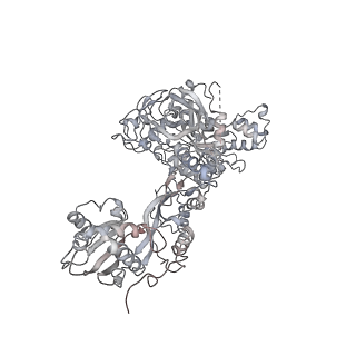 6652_5jut_DC_v1-3
Saccharomyces cerevisiae 80S ribosome bound with elongation factor eEF2-GDP-sordarin and Taura Syndrome Virus IRES, Structure IV (almost non-rotated 40S subunit)