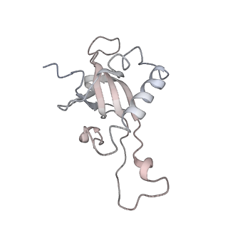 6652_5jut_EA_v1-3
Saccharomyces cerevisiae 80S ribosome bound with elongation factor eEF2-GDP-sordarin and Taura Syndrome Virus IRES, Structure IV (almost non-rotated 40S subunit)