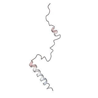 6652_5jut_GA_v1-3
Saccharomyces cerevisiae 80S ribosome bound with elongation factor eEF2-GDP-sordarin and Taura Syndrome Virus IRES, Structure IV (almost non-rotated 40S subunit)